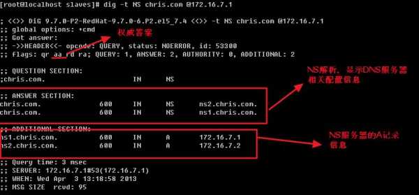 linux dns 重启命令（两个dns怎么设置在一个地方linux）-图2